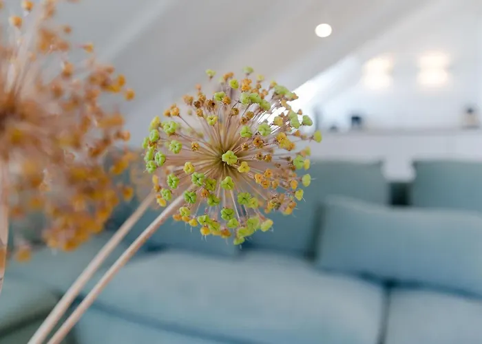 Strandloiper شقة هافكروغ